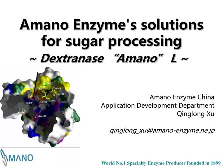 amano enzyme s solutions for sugar processing