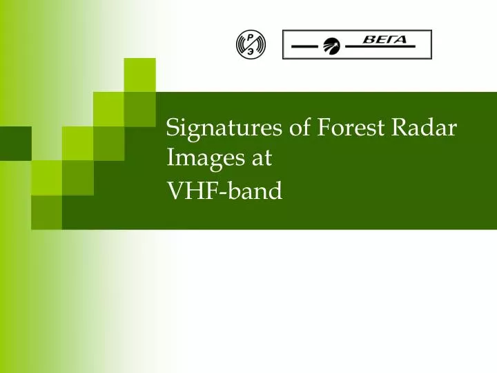 signatures of forest radar images at vhf band