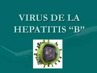 virus de la hepatitis b