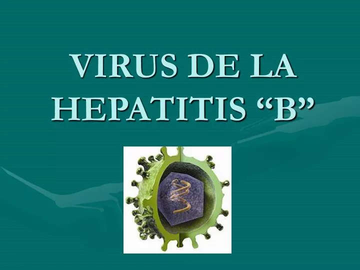 virus de la hepatitis b