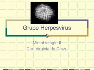 grupo herpesvirus