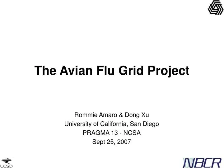 the avian flu grid project