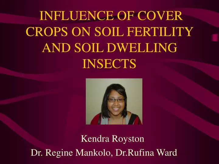 influence of cover crops on soil fertility and soil dwelling insects