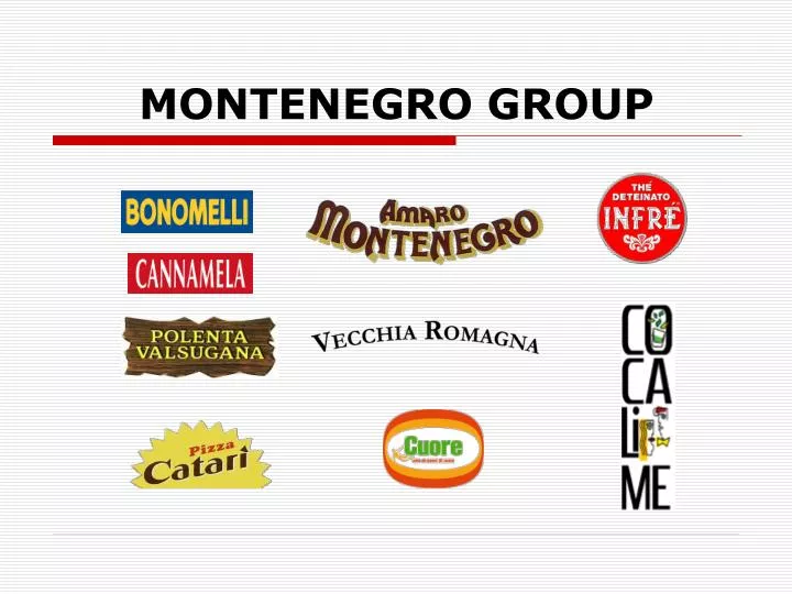 montenegro group