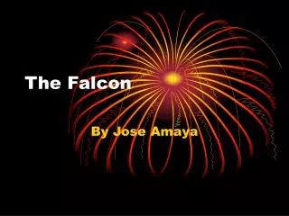 The Falcon