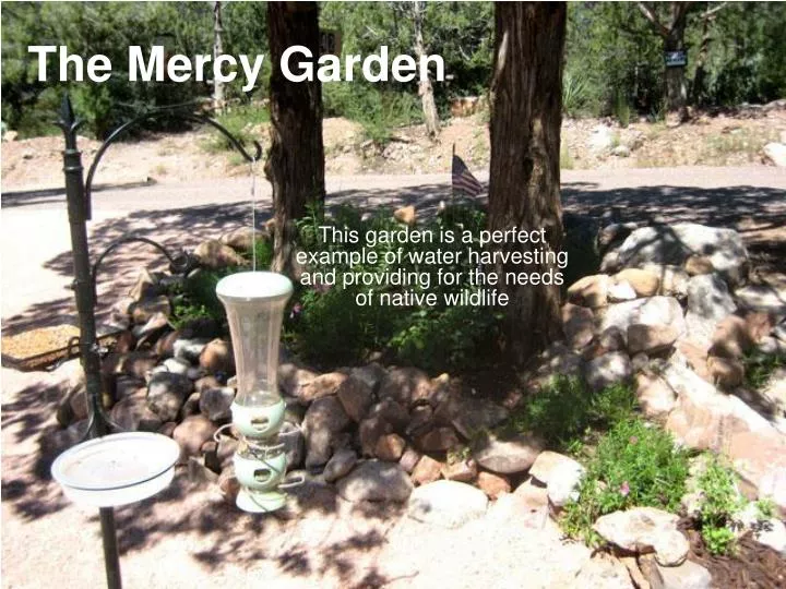 the mercy garden