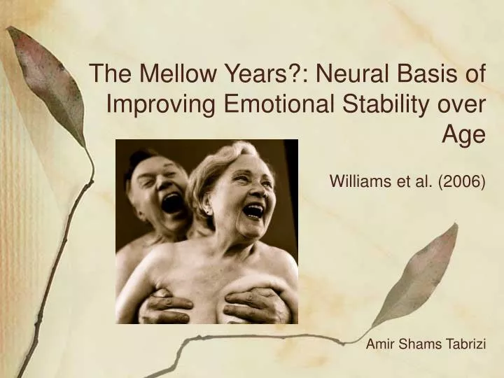 the mellow years neural basis of improving emotional stability over age