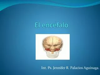 el enc falo