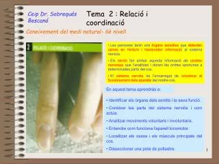 ceip dr sobrequ s bescan