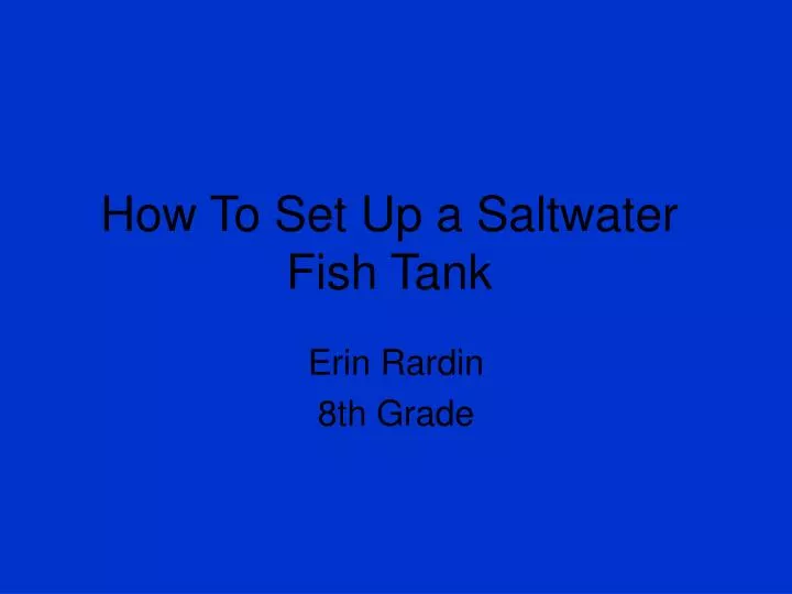 how to set up a saltwater fish tank