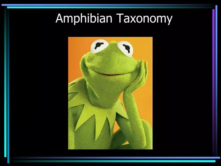 amphibian taxonomy