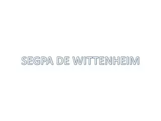 SEGPA DE WITTENHEIM