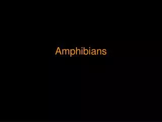 Amphibians