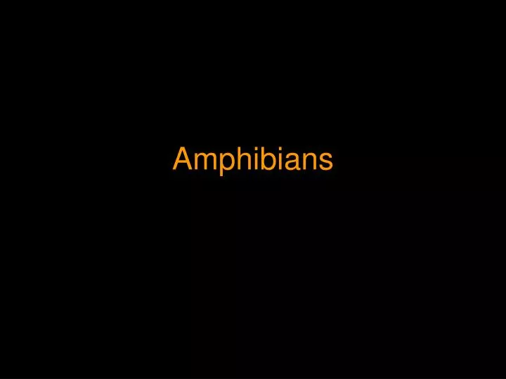 amphibians