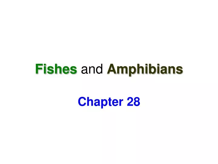 fishes and amphibians