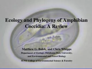 Ecology and Phylogeny of Amphibian Coccidia: A Review