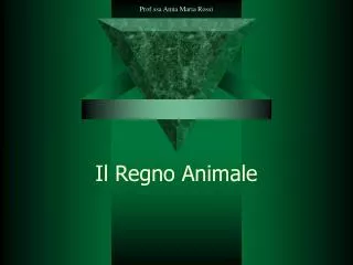 il regno animale
