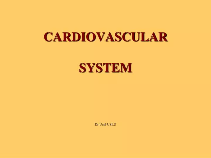 cardiovascular system