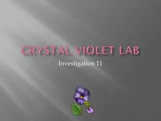 Crystal Violet Lab