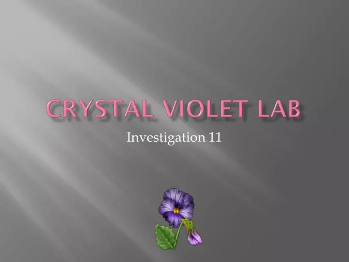 crystal violet lab