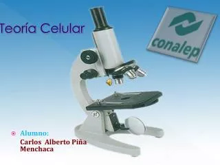 teor a celular