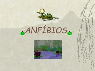 anf bios