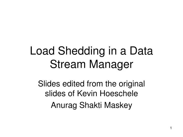 load shedding in a data stream manager