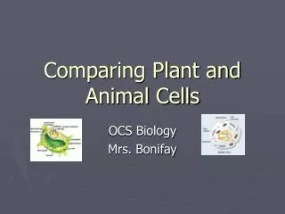 Comparing Plant and Animal Cells