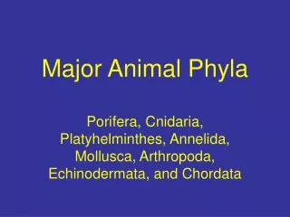 Major Animal Phyla