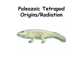 Paleozoic Tetrapod Origins/Radiation