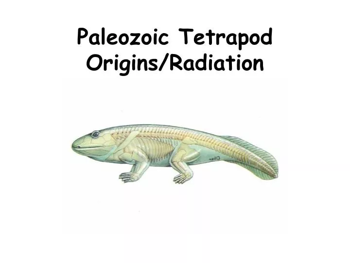 paleozoic tetrapod origins radiation