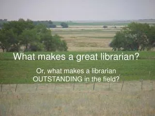 What makes a great librarian?