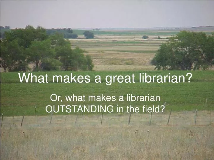 what makes a great librarian