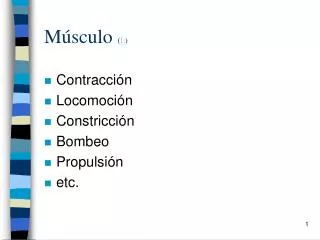 m sculo l