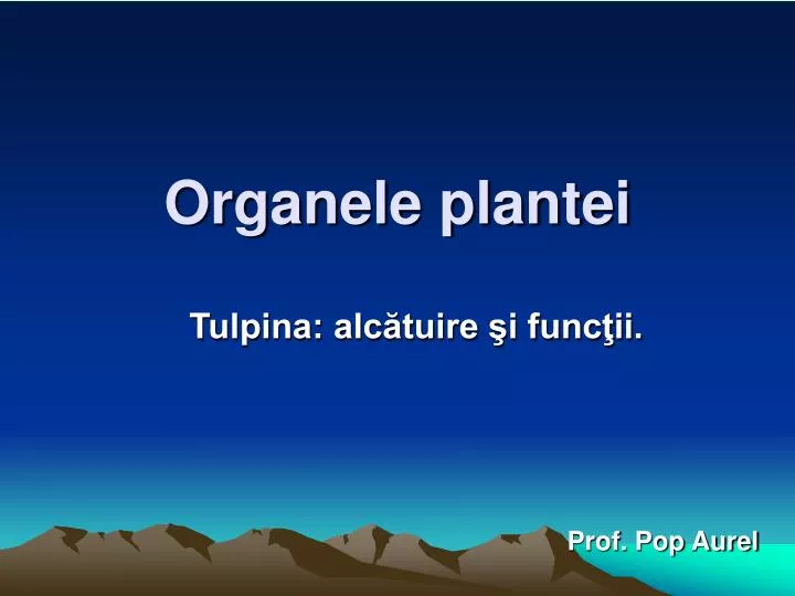 organele plantei