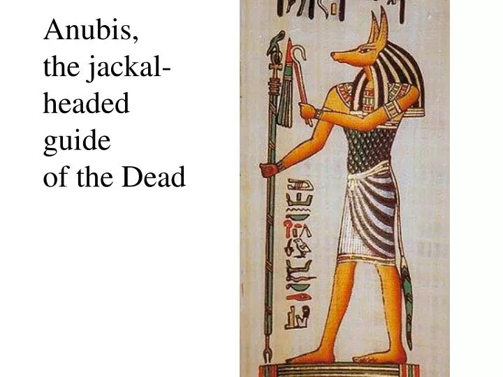 anubis the jackal headed guide of the dead