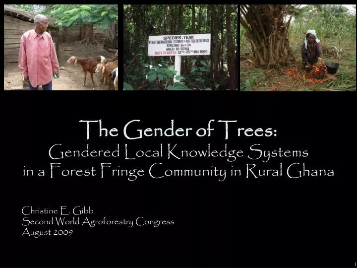 the gender of trees gendered local knowledge systems in a forest fringe community in rural ghana