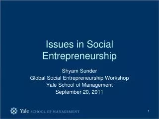 Issues in Social Entrepreneurship
