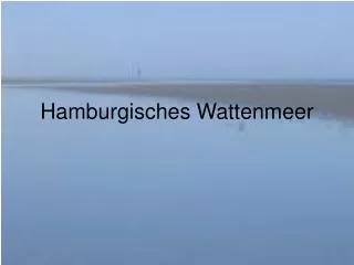 hamburgisches wattenmeer