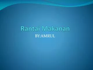 rantai makanan