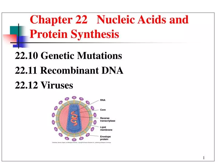 chapter 22 nucleic acids and protein synthesis