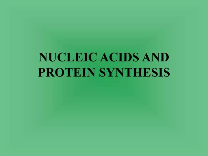 nucleic acids and protein synthesis