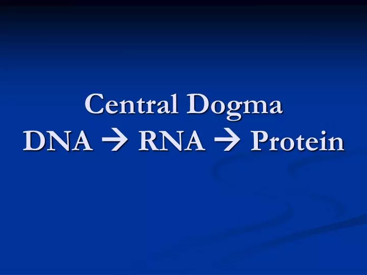 central dogma dna rna protein