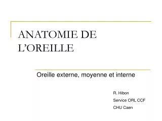 anatomie de l oreille