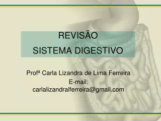 revis o sistema digestivo