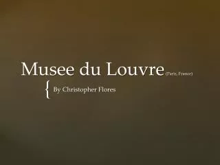 Musee du Louvre (Paris, France)