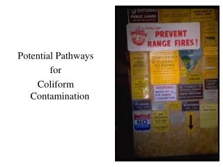 Potential Pathways for Coliform Contamination