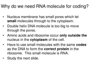 Why do we need RNA molecule for coding?