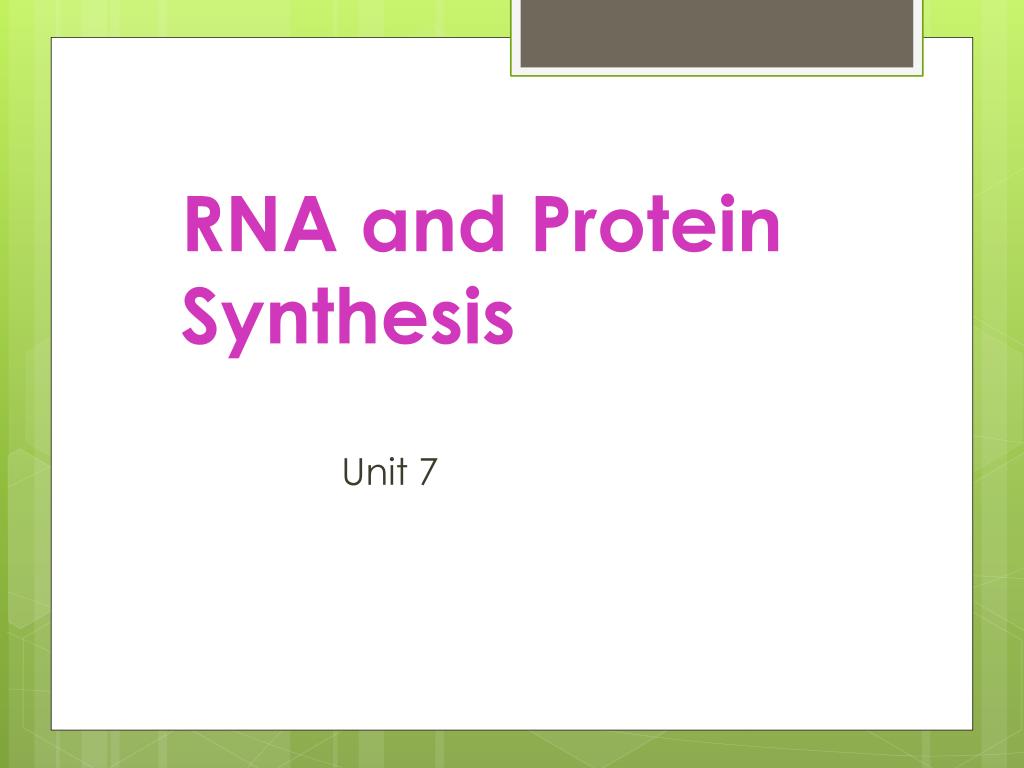 PPT - RNA and Protein Synthesis PowerPoint Presentation, free download ...