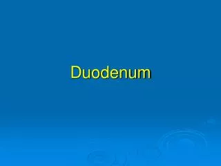 Duodenum